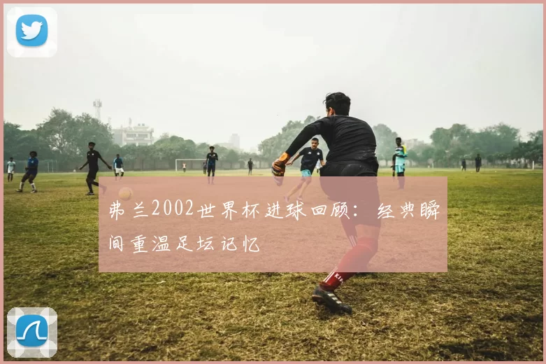 弗兰2002世界杯进球回顾：经典瞬间重温足坛记忆