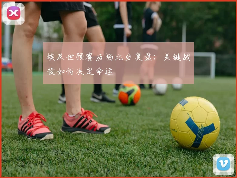 埃及世预赛历场比分复盘：关键战役如何决定命运