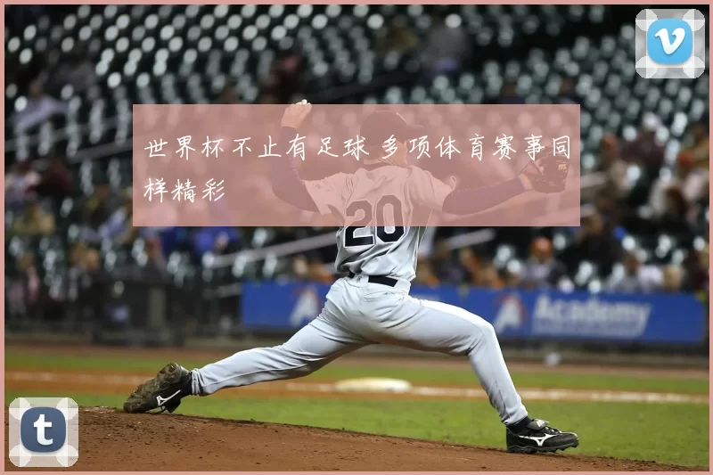 世界杯不止有足球 多项体育赛事同样精彩
