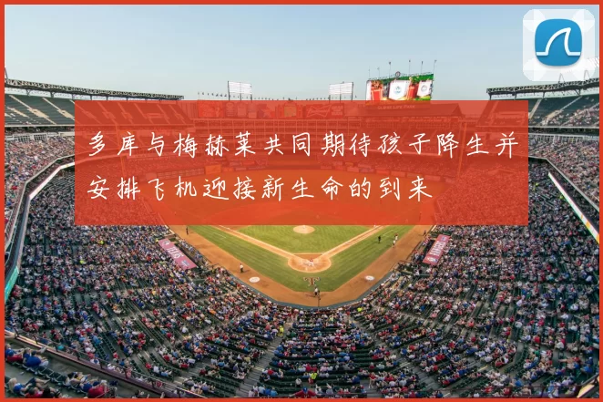 多库与梅赫莱共同期待孩子降生并安排飞机迎接新生命的到来