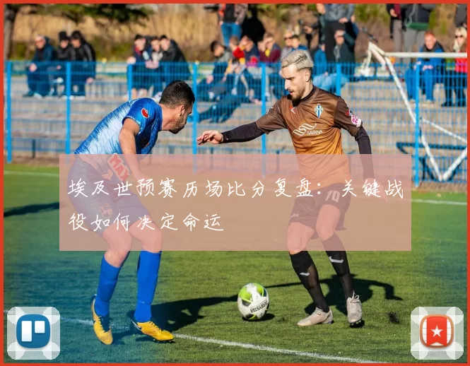 埃及世预赛历场比分复盘:关键战役如何决定命运