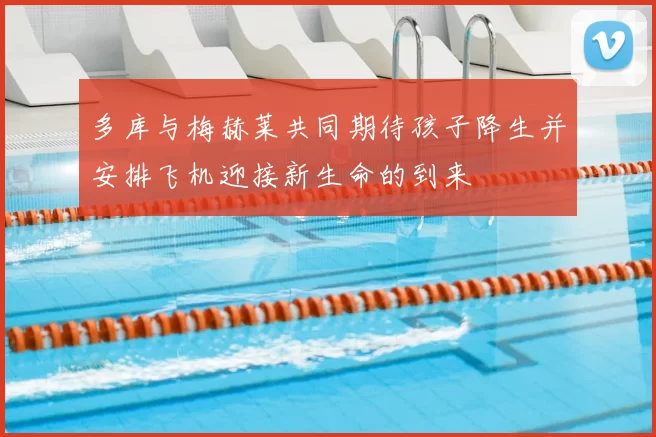 多库与梅赫莱共同期待孩子降生并安排飞机迎接新生命的到来