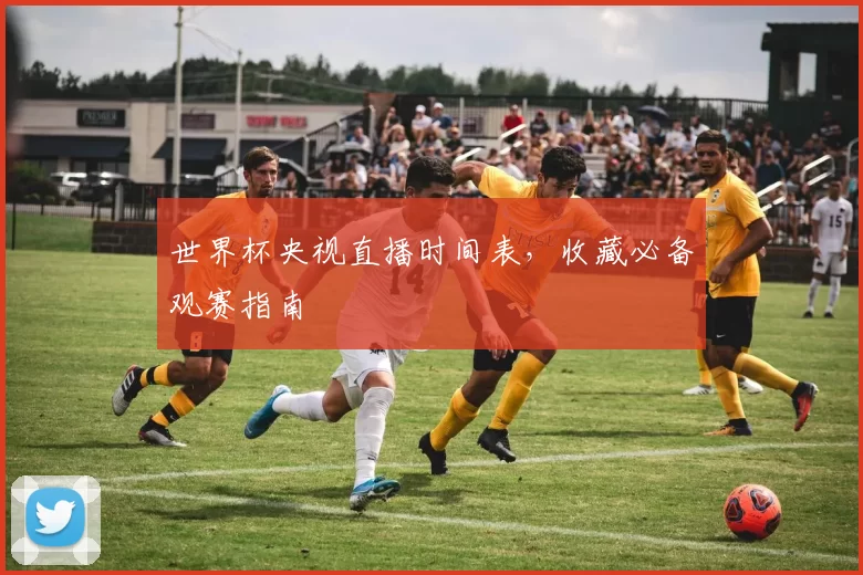 世界杯央视直播时间表，收藏必备观赛指南