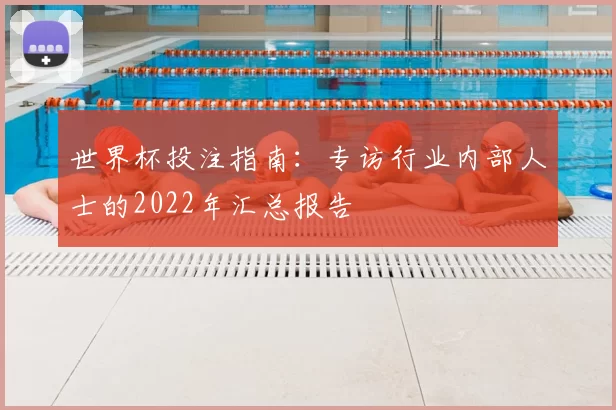 世界杯投注指南:专访行业内部人士的2022年汇总报告