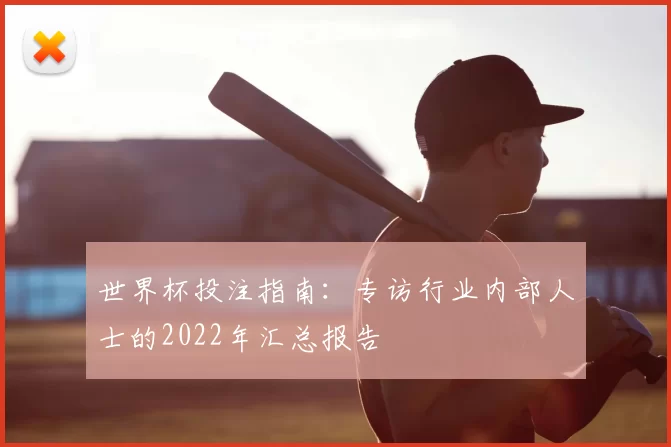 世界杯投注指南:专访行业内部人士的2022年汇总报告